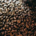 exotic bean history