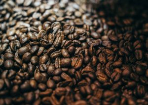 exotic bean history