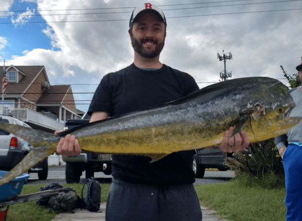 big mahi fishing ocmd offshore