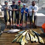 092019-MAHI-YELLOWFIN-MARLIN-scaled.jpg