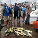 091519-MAHI-MARLIN-scaled.jpg