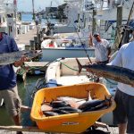 090219-WAHOO-KING-FALSE-ALBACORE-scaled.jpg
