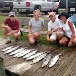 IMG_20190805_133947020-1.jpg