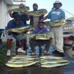 09-18-14-mahi.jpg