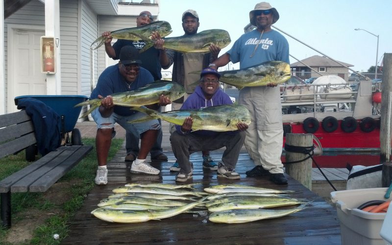 09-18-14-mahi.jpg