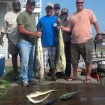 09-11-14-mahi.jpg