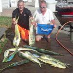 09-05-14-mahi-marlin.jpg
