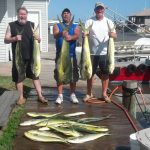 09-06-14-mahi.jpg