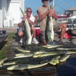 09-02-14-mahi.jpg