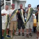 08-21-14-mahi.jpg