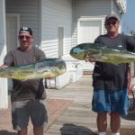 08-17-14-mahi.jpg