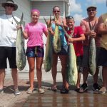 08-13-14-mahi.jpg