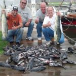 08-03-14-mahi-seabass.jpg