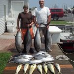 07-30-14-yellowfin-mahi.jpg