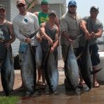 07-12-14-yellowfin.jpg