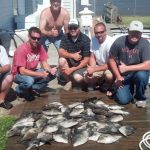 07-05-14-triggerfish.jpg
