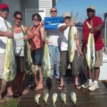 06-29-14-marlin-mahi.jpg