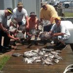 06-23-14-triggerfish-spadefish-tog-sheepshead.jpg
