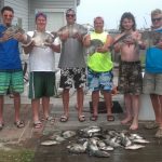 06-19-14-triggerfish-spadefish-sheepshead.jpg