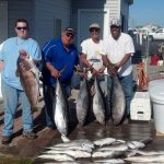 06-20-14-yellowfin-golden-bluefin-tilefish.jpg