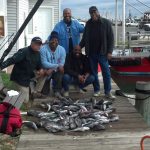 10-31-14-sea-bass-limit.jpg