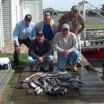 10-20-14-sea-bass-limit.jpg