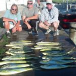 09-30-14-mahi.jpg