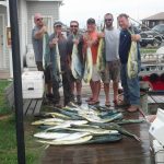 09-29-14-mahi.jpg