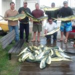 09-19-14-mahi.jpg