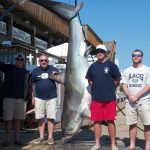 06-06-14-610-lb-thresher-shark.jpg