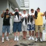 06-14-10-tog-and-sea-bass.jpg