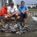 05-29-10-sea-bass.jpg