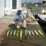 few-small-mahi.jpg