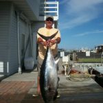11913-00-bluefin.jpg