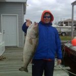 11-11-10-striper.jpg