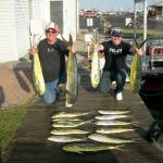 10-10-10-mahi.jpg
