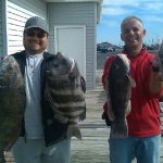 10-24-10-drum-sheepshead-tog.jpg