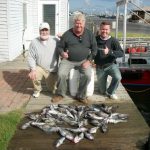 10-06-10-sea-bass-2.jpg
