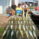 08-20-10-mahi-and-marlin.jpg