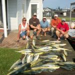 08-26-10-mahi.jpg