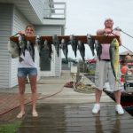 08-15-10-sea-bass-mahi-and-triggerfish.jpg