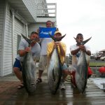07-12-10-yellowfin-and-marlin.jpg