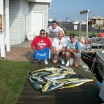 09-11-11-mahi-and-white-marlin.jpg