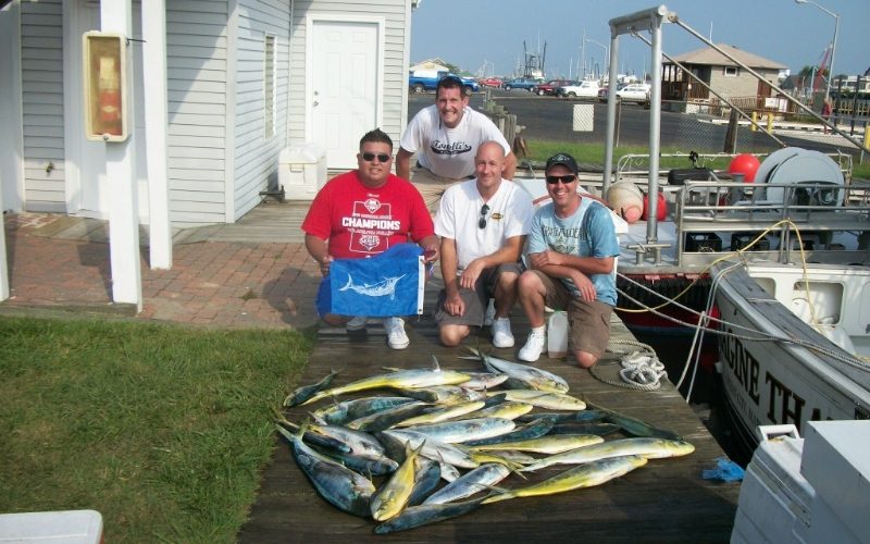 09-11-11-mahi-and-white-marlin.jpg