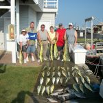 09-04-11-mahi-and-triggers-and-white-marlin.jpg