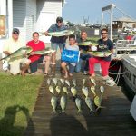 09-05-11-mahi-white-marlin.jpg