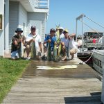 08-20-11-mahi.jpg