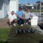 09-01-11-yellowfin.jpg