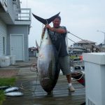 08-13-11-big-eye-tuna.jpg
