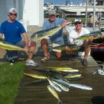 08-07-11-mahi.jpg